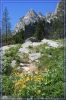 comp_IMG_1270.jpg