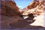 comp_IMG_4588.jpg
