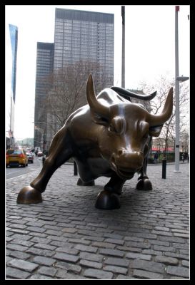 Charging Bull
