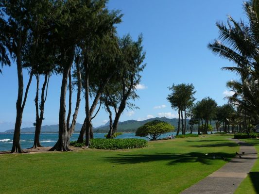 Garten des Hotels "Islander on the Beach" Kauai
Schlüsselwörter: Hawaii, Kauai, Islander on the Beach