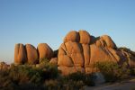 Yoshua Tree National Park