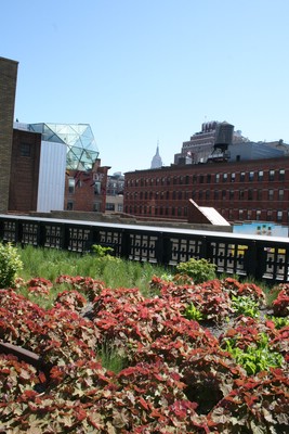 High Line 
