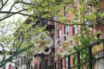 Little Italy