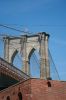 comp_IMG_4113.jpg