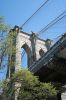 comp_IMG_4116.jpg