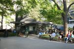 Shake Shack @ Madison Square Park