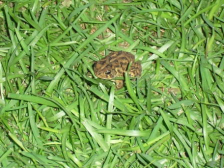 2012-04-23_01-42-04.JPEG