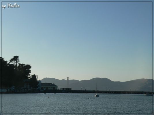 10_view~0.jpg