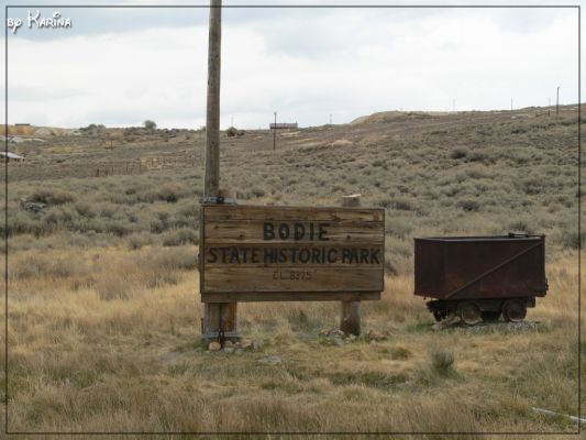 11_bodie.jpg