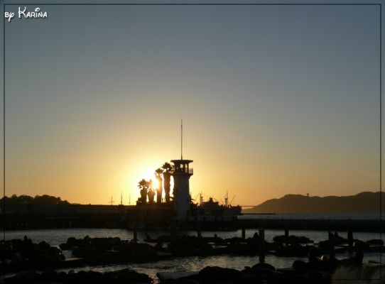 12_view~1.jpg