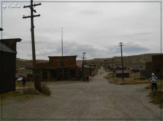 13_bodie.jpg
