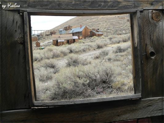 17_bodie.jpg