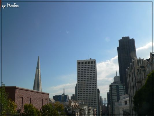 20_view.jpg