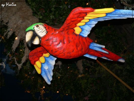 45_rainforest.jpg