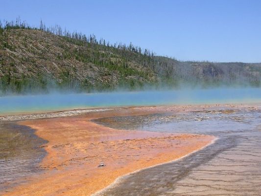 Grand Prsimatic Spring
Über dem klaren, hellblauen Pool schwebt leise der Nebel.
Die unterschiedlichen Mineralien erzeugen ein prächtiges Farbenspiel.
