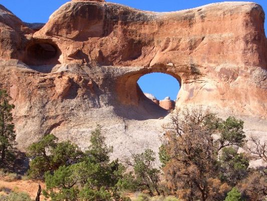 Tunnel Arch
Durch eine dicke Sandsteinscheibe hat sich ein tunnelartiger Bogen hindurch erodiert.
