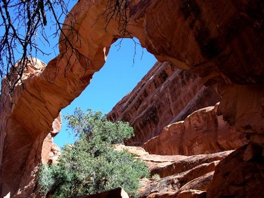 Wall Arch
Eine schmale Rotsandsteinwand ist eingebrochen und bildet einen instabilen Bogen aus.
