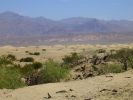 Mesquite Sand Dunes