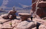 Dead Horse Point State Park