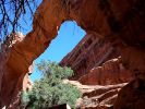 Wall Arch