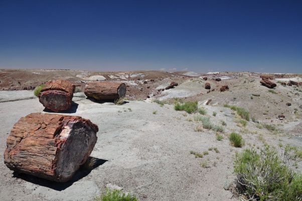 Petrified Forest NP
Schlüsselwörter: Petrified Forest NP