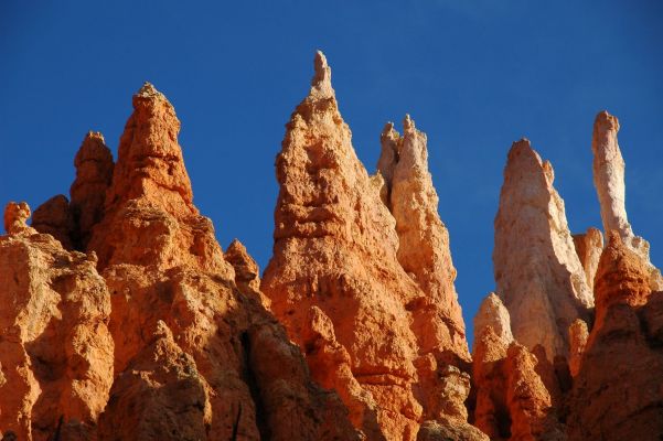 Inside Bryce Canyon
Bild im Bryce Canyon
Schlüsselwörter: Bryce Canyon, Trail