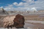 Petrified Forest