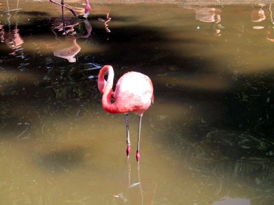 Img_2715.jpg