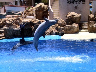 Img_2781.jpg