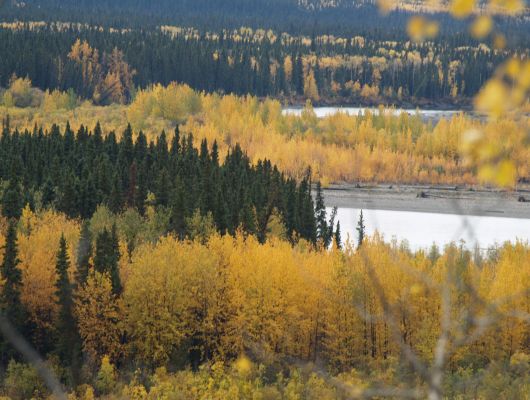 114_P9116577.JPG
