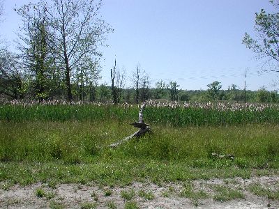 Cuyahoga Valley - Landscape 1
