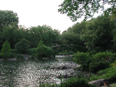 NYC: Central Park II
