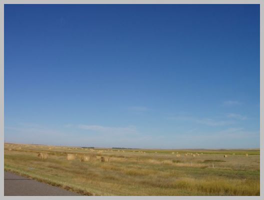 P9190030~0.JPG