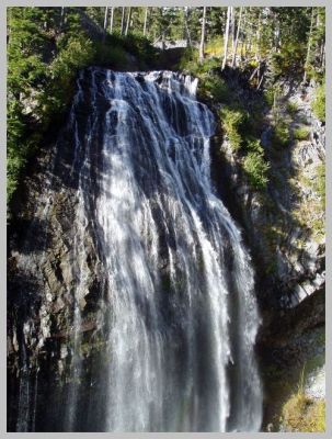 Pa040119.jpg