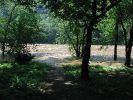 Harper's Ferry: Hochwasser am Shenandoah River