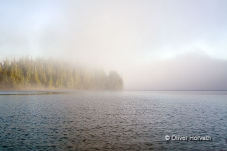 Landschaft1
