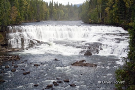 Dawson Falls
