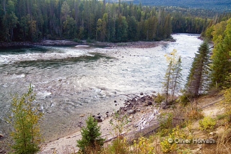 Bailey's Chute
