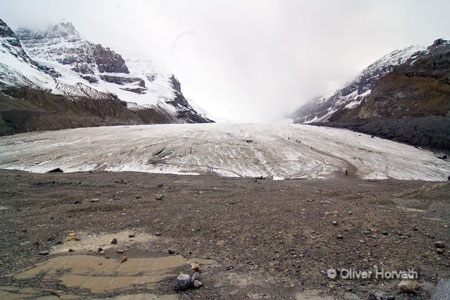 Columbia Icefield

