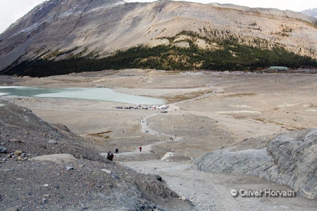Columbia Icefield - Parkplatz
