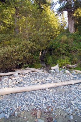 Florencia Bay: Treppen vom Strand
