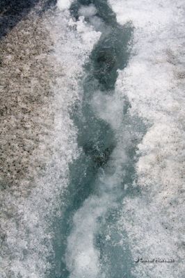 Columbia Icefield - Gletscherbach
