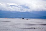 Walflossen_2