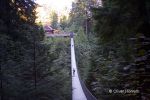 Capliano Suspension Bridge