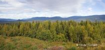 Green Mountain