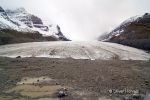Columbia Icefield