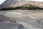 Columbia Icefield - Parkplatz