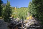 Trail zum Lake Agnes Teahouse