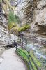 Weg zu den Lower Falls