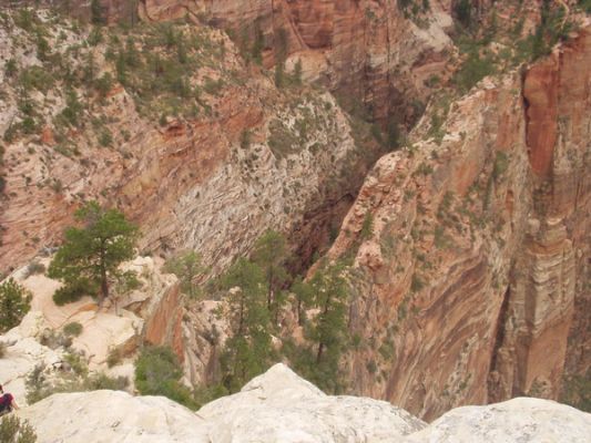 Zion NP Trail zum Angel's Landing
